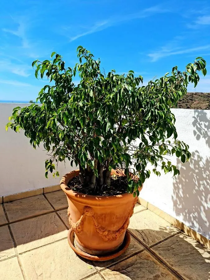 Apartment Lost Paradise La Cala Del Moral